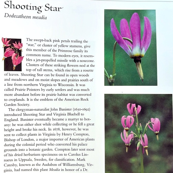 USPS Wildflowers A Collection Of U.S. Commemorative Stamps Hardcover Book - Picture 13 of 16